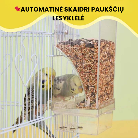🐦Automatinė skaidri paukščių lesyklėlė