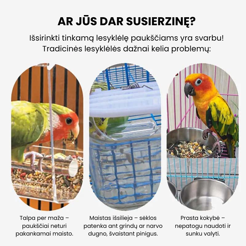 🐦Automatinė skaidri paukščių lesyklėlė