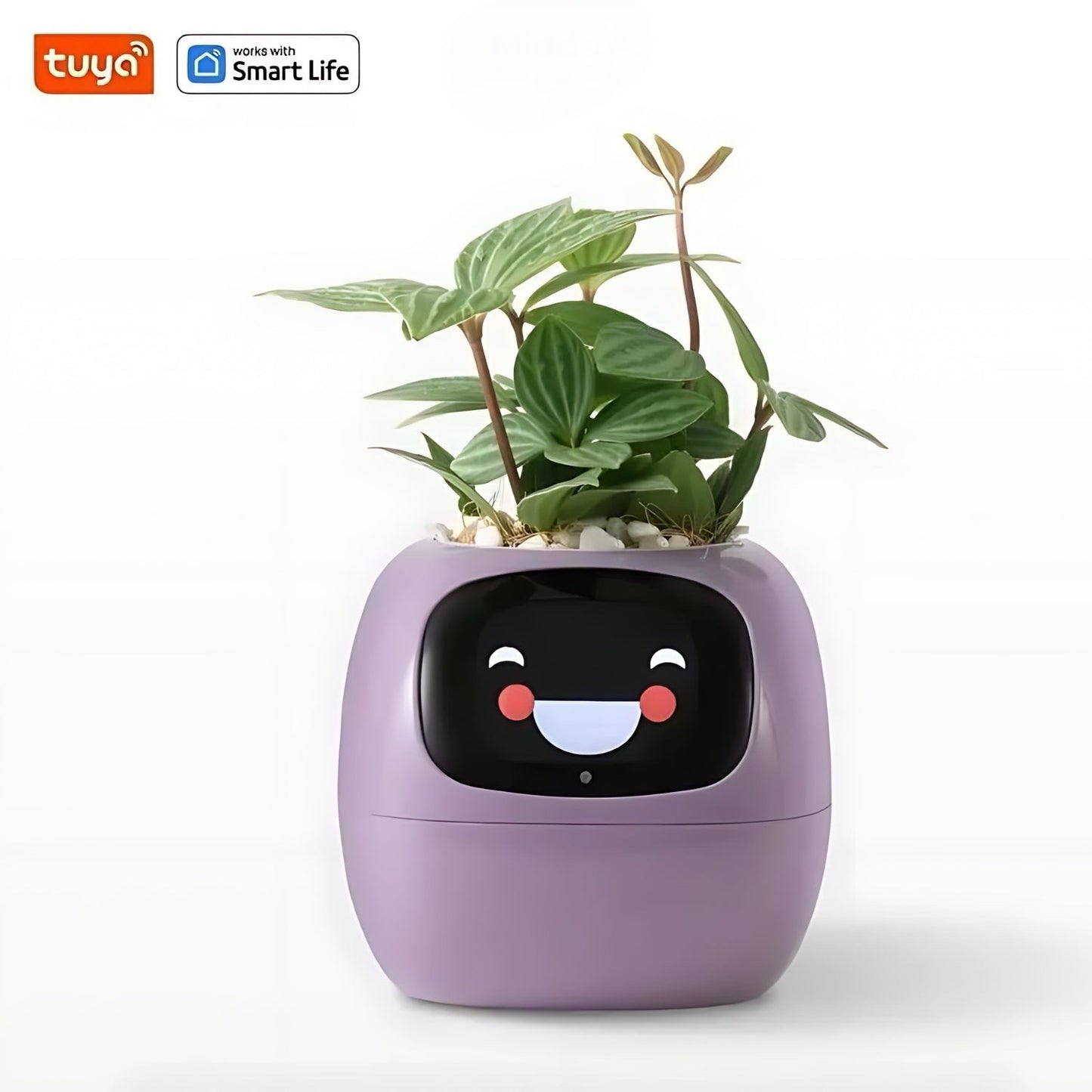 Happy Ivy™ – IŠMANUS vazonas automatinės augalų priežiūros sistemai