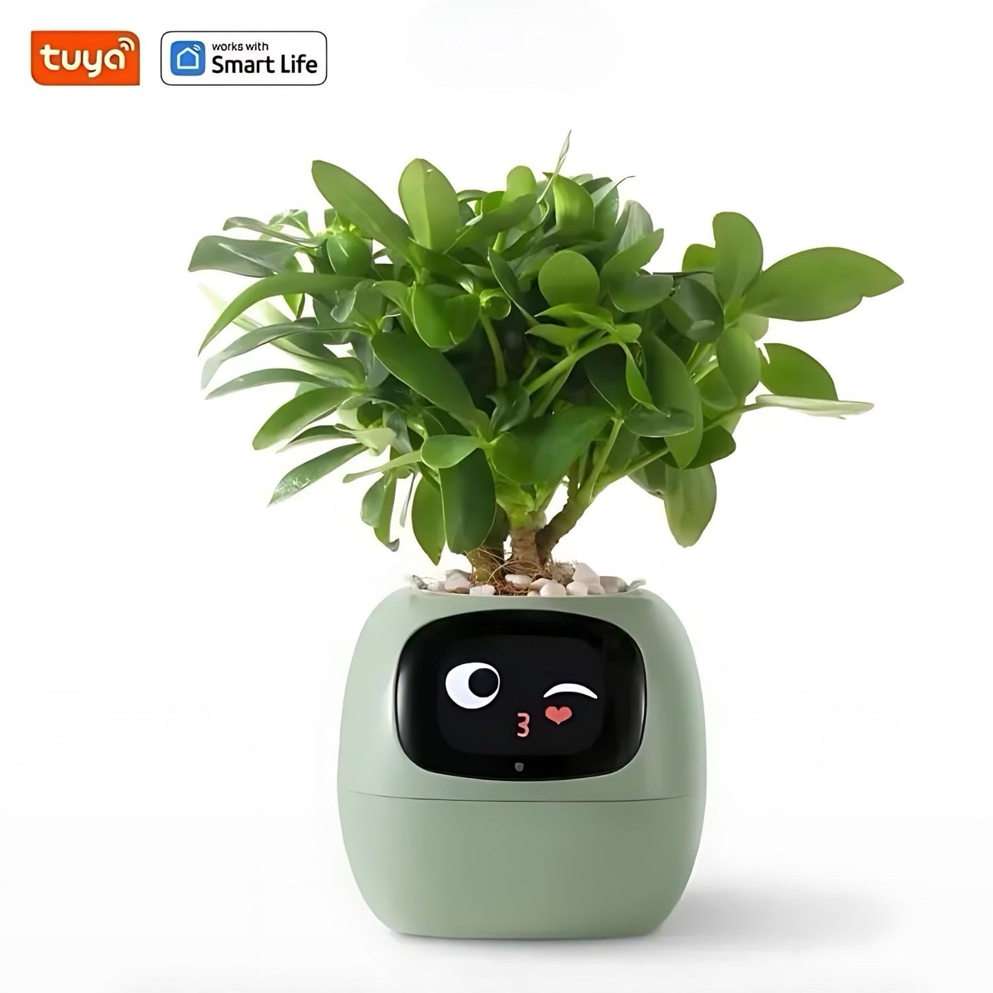 Happy Ivy™ – IŠMANUS vazonas automatinės augalų priežiūros sistemai