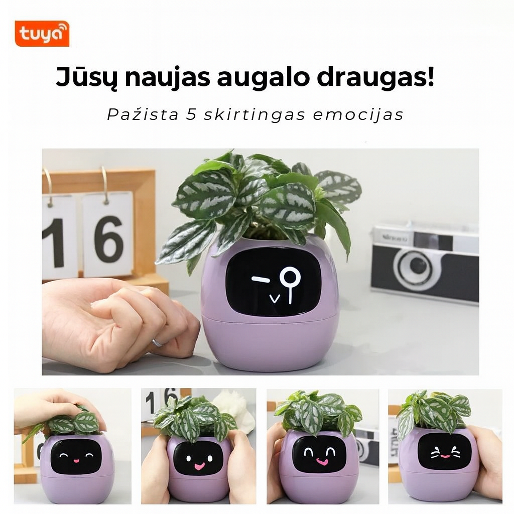 Happy Ivy™ – IŠMANUS vazonas automatinės augalų priežiūros sistemai