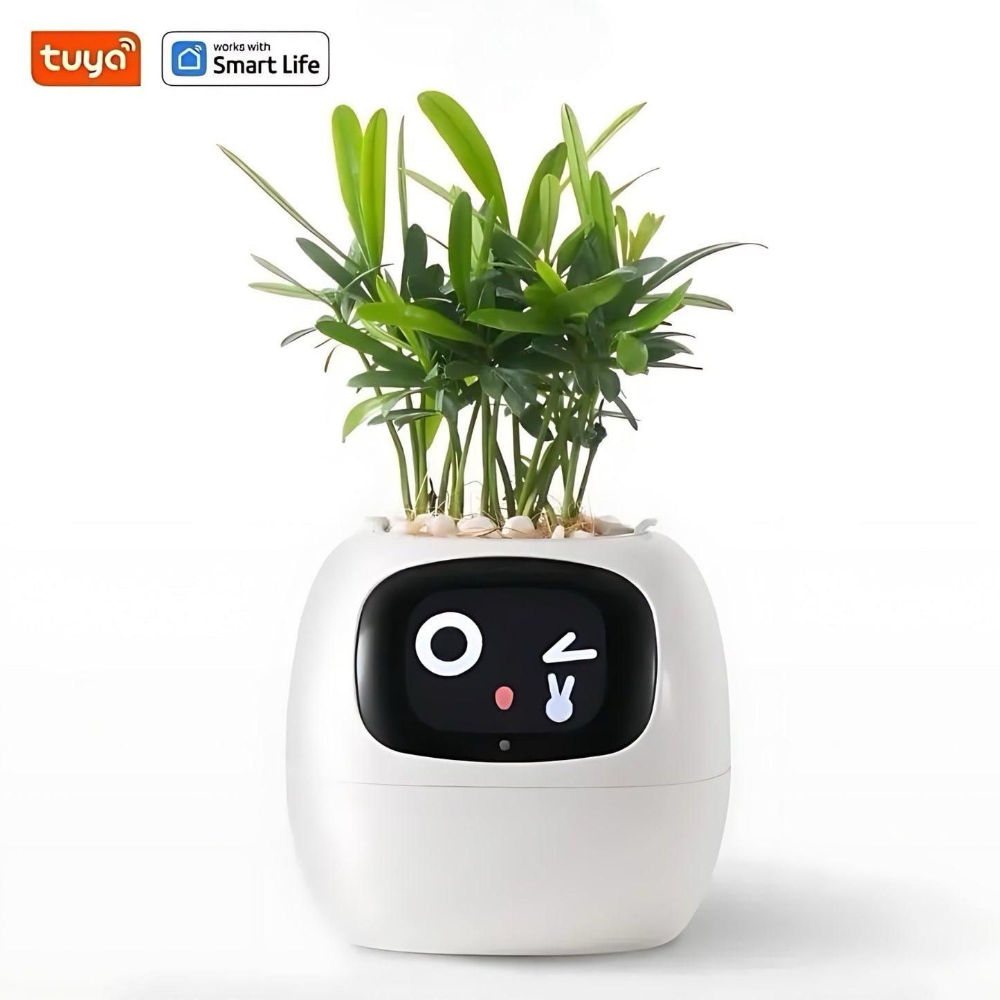 Happy Ivy™ – IŠMANUS vazonas automatinės augalų priežiūros sistemai